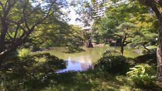 この池周辺にあるモミジ・カエデの紅葉はたいへん素晴らしいです