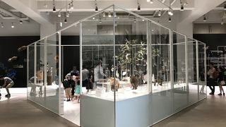 プラネタリウムは癒されます