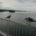 海の幸と温泉