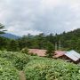 山頂直下の山小屋