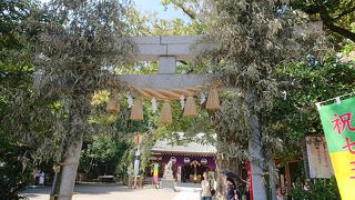 創建660年限定御朱印をいただきました