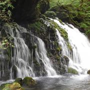 伏流水が産み出す絶景♪