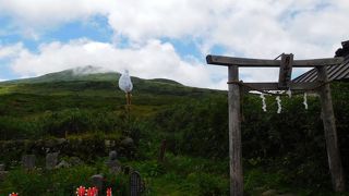 弥陀が原湿原でトレッキング