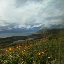 ノシャップ岬方面