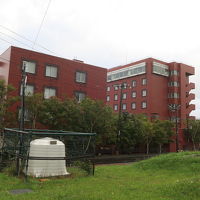 茶色の建物です