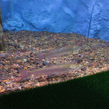 稚内らしい展示です