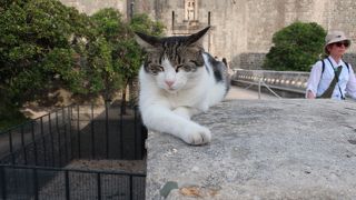 ピレ門に続く橋