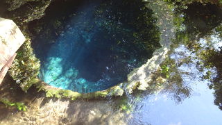 2度目だったからか時間の関係か感激度合いが下がった。