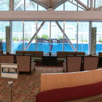 ロビーフロアに面しているプール