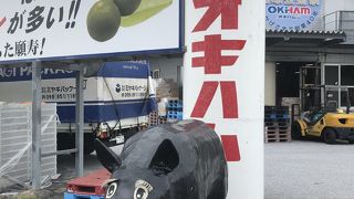 サトウキビ工場の無料見学、ここだけのラスクはお土産に最適です！