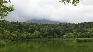 レンタカーで行くのがお勧めです
