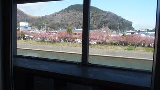 ロケーションが抜群です