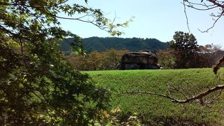 たぶん日本で一番有名な舞台。