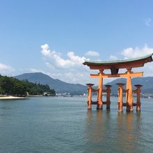 真下から見てみたいです