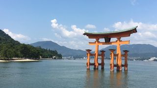 カヤックかど海から見ると迫力も違うんでしょうね～