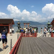 海をバックにどんなかんじなのでしょう？