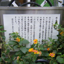 牛馬飲水案内板