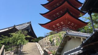 奥に行かないと真下からは見えないので、意外と皆見てないのかな？