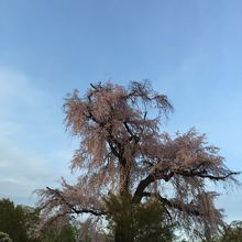 夕暮れ時の壮麗な姿