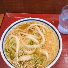 かけうどん