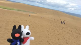 鳥取と言えば砂丘