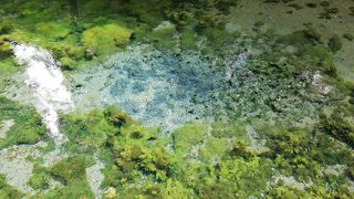 ここのお水はおいしい