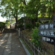 美観地区の丘陵地に設けられた公園