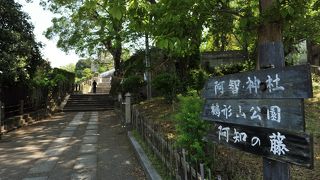 美観地区を見下ろす緑