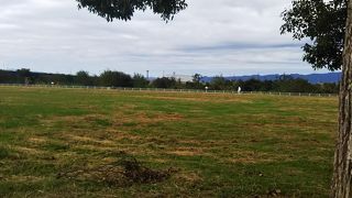 整備されてました