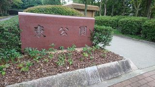 福岡県庁の目のまえ