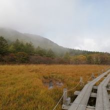 木道があります