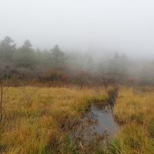 霧が出ると幻想的