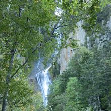 遊歩道を歩き、見るポイントを変えました。