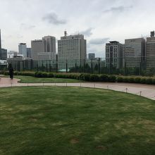 ミッドタウン日比谷屋上 庭園 パークビュー ガーデン