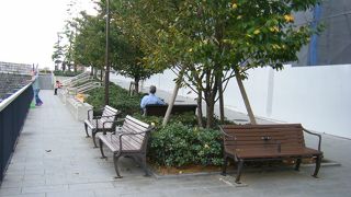 ベンチがあるだけです