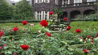 西洋庭園の秋バラ