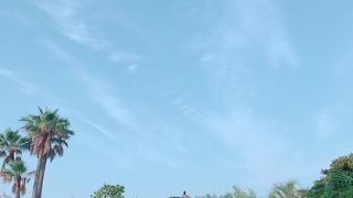 ショウなレストラン