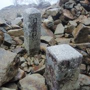 雨の中、東大台ケ原を歩きました