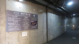 モニターでアザラシ捜し