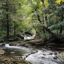 手付かずの自然を感じて