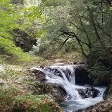 のんびりと自然に触れて