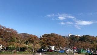 滝のある公園