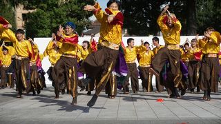 勾当台公園の夜の部もあって、一日中楽しめます