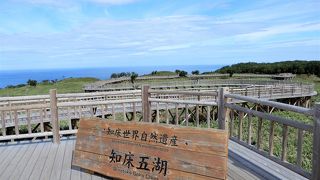 高架遊歩道で歩きやすいです