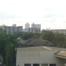 ビル群の間には、路地沿いに、緑に囲まれた低層の家屋があります