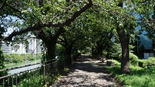 都内でも穴場的な場所かもしれません