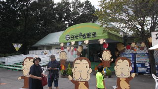 かわいいお猿さんたち