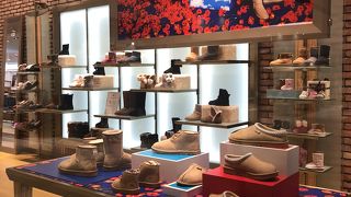 ファミリーではいたら可愛いだろうなぁ