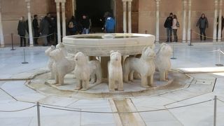 獅子がたくさんいる面白いところです