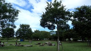 地元の人たちのオアシス的な・・・